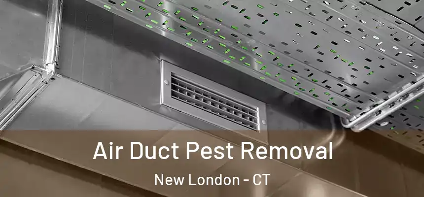 Air Duct Pest Removal New London - CT