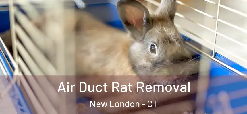  Air Duct Rat Removal New London - CT