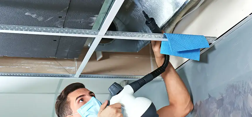 Our Air Duct Rodent Removal Services in New London, CT