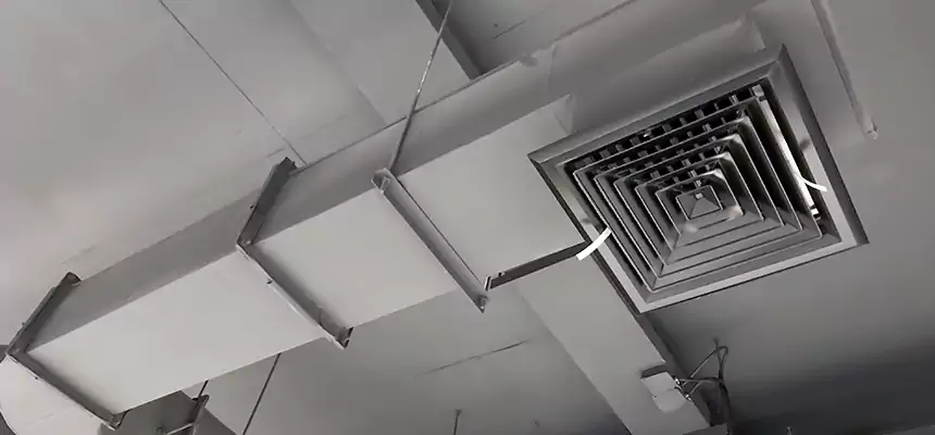 Our Pest Removal From Ducts Services in New London, CT