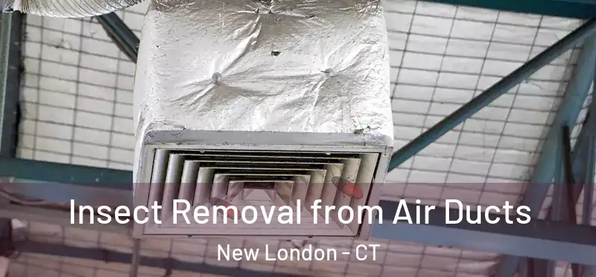 Insect Removal from Air Ducts New London - CT