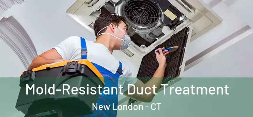 Mold-Resistant Duct Treatment New London - CT