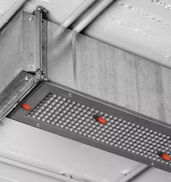 About Air Duct Cockroach Removal in New London, CT