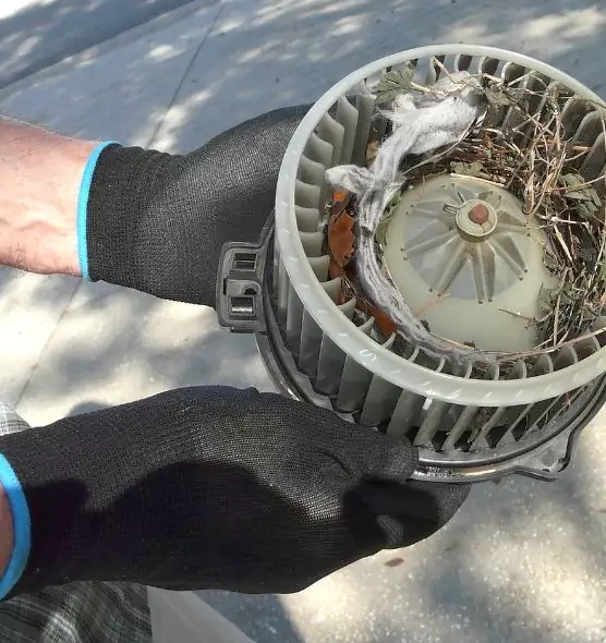 About Air Duct Rat Removal in New London, CT