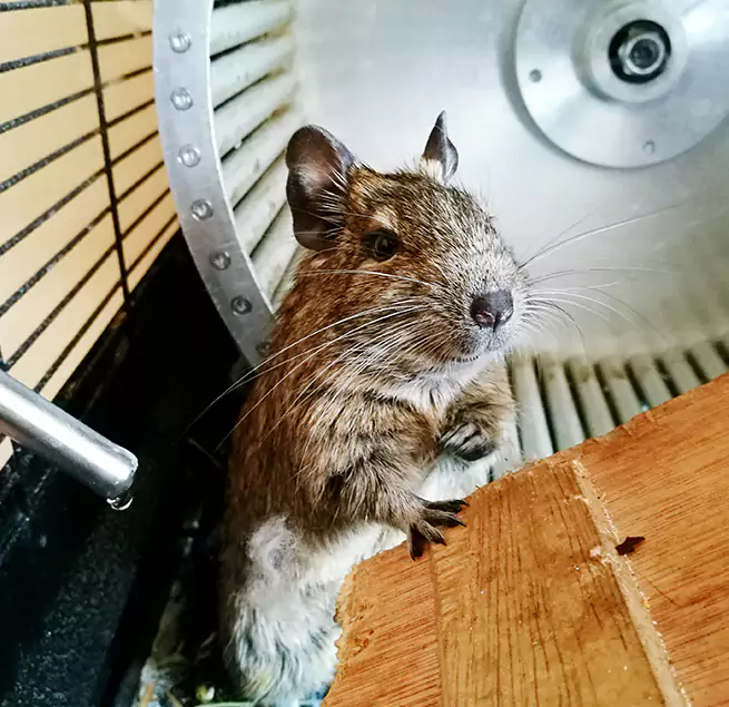 Why Homeowners & Businesses Trust Us New London, CT